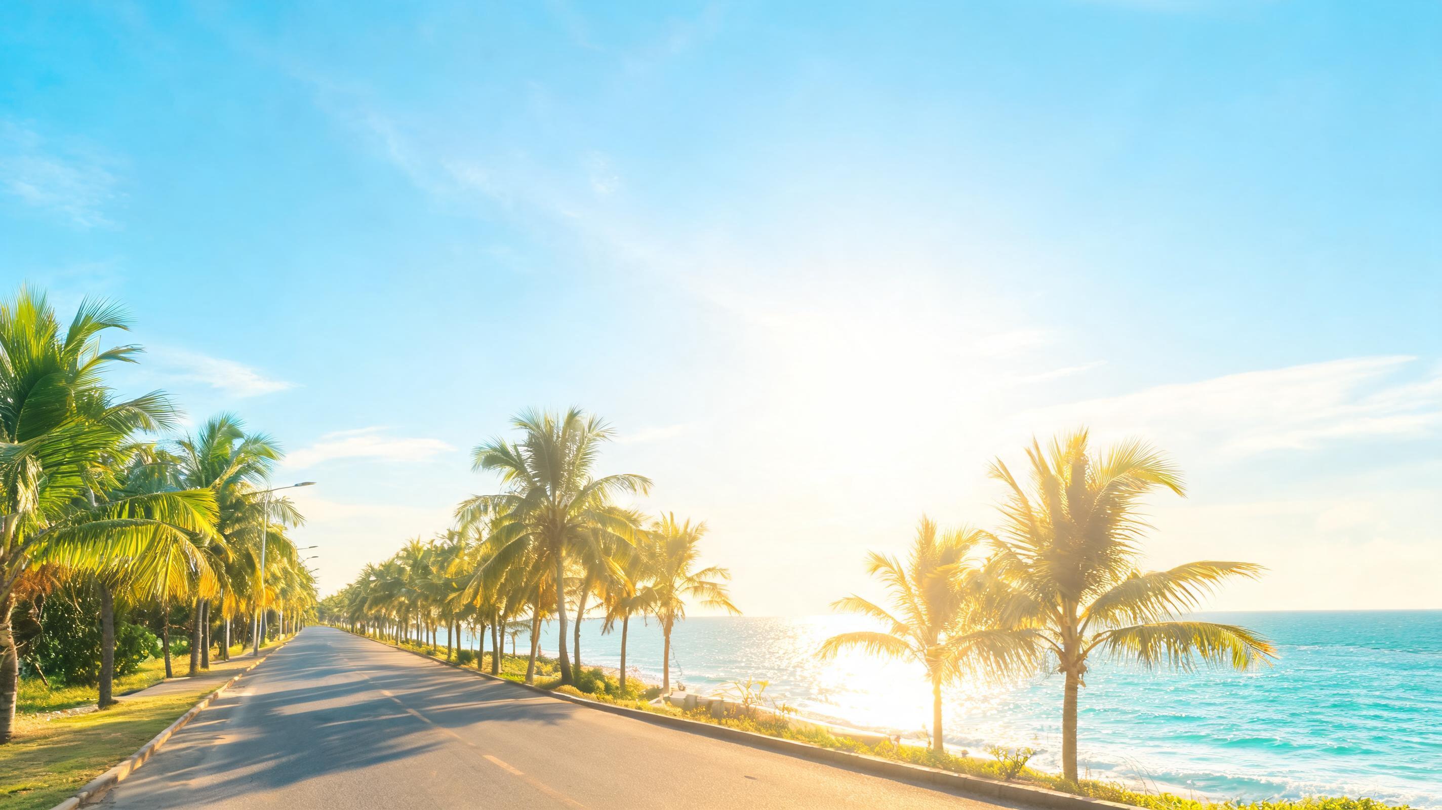 A palm-lined coastal road under a bright blue sky